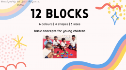 12 BLOCKS