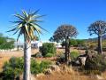 Kamieskroon, Namaqua District, Northern Cape