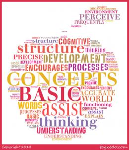 Basic Concepts Programme