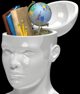 Cathy Greenberg, Bellavista